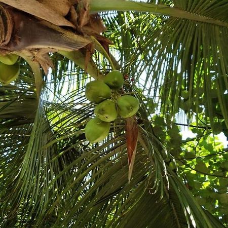 Tiwi Beach Resort & Spa Mombasa Zewnętrze zdjęcie