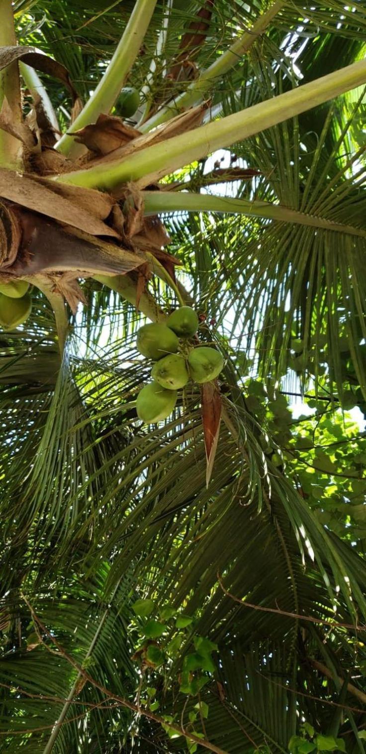 Tiwi Beach Resort & Spa Mombasa Zewnętrze zdjęcie